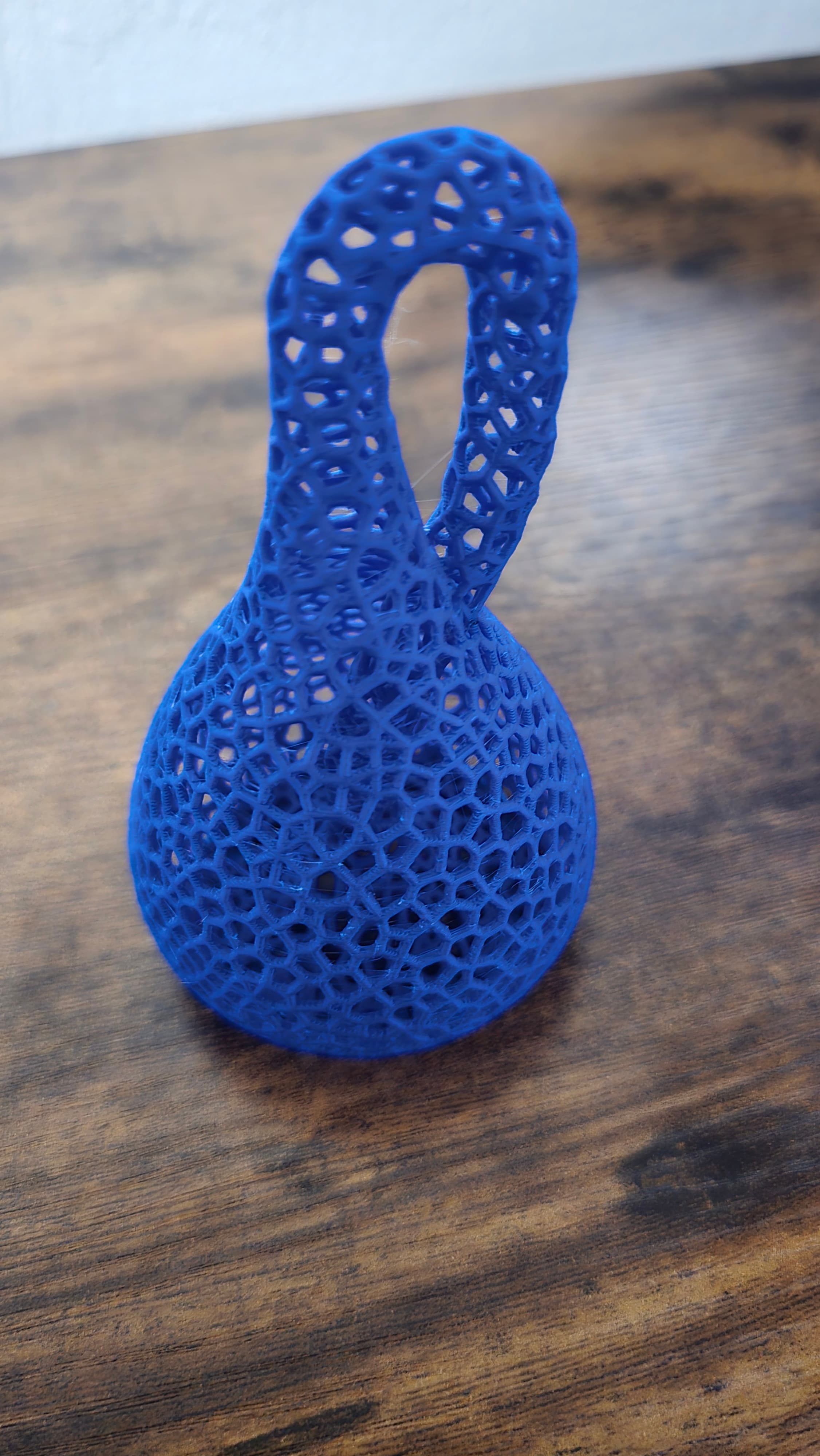 Klein Bottle